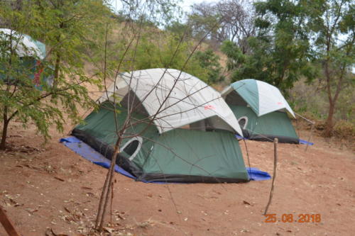 DSC 0040