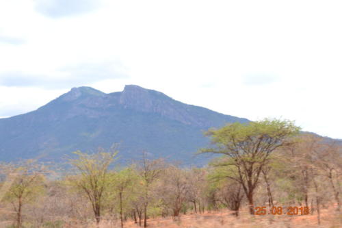 DSC 0170
