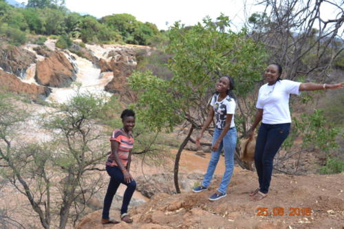 DSC 0201