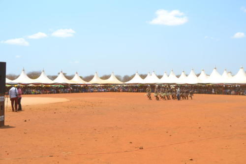DSC 0603