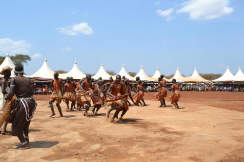 DSC 0619